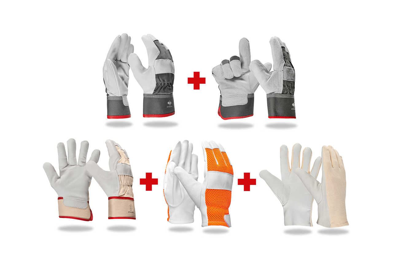 Arbeitsschutz: Handschuh-Profi-Set Leder II