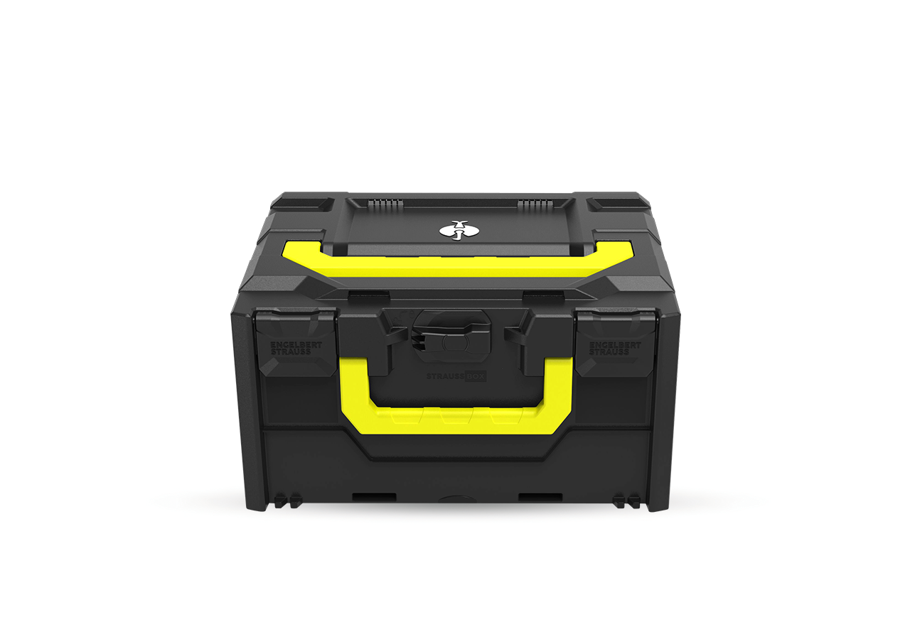 STRAUSSbox System: STRAUSSbox 215 midi Color + schwarz
