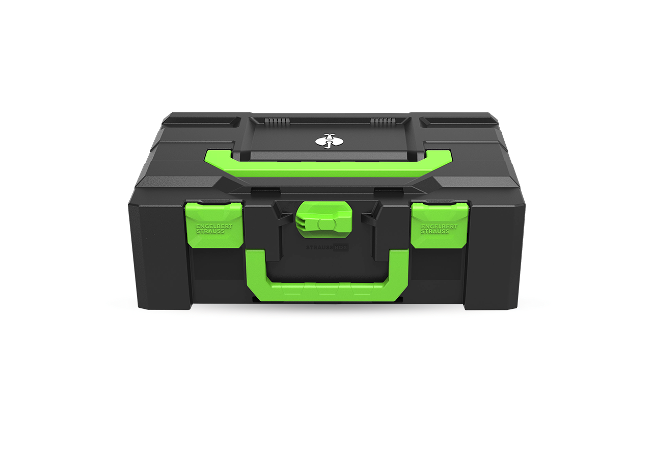 STRAUSSbox System: STRAUSSbox 165 large Color + seegrün