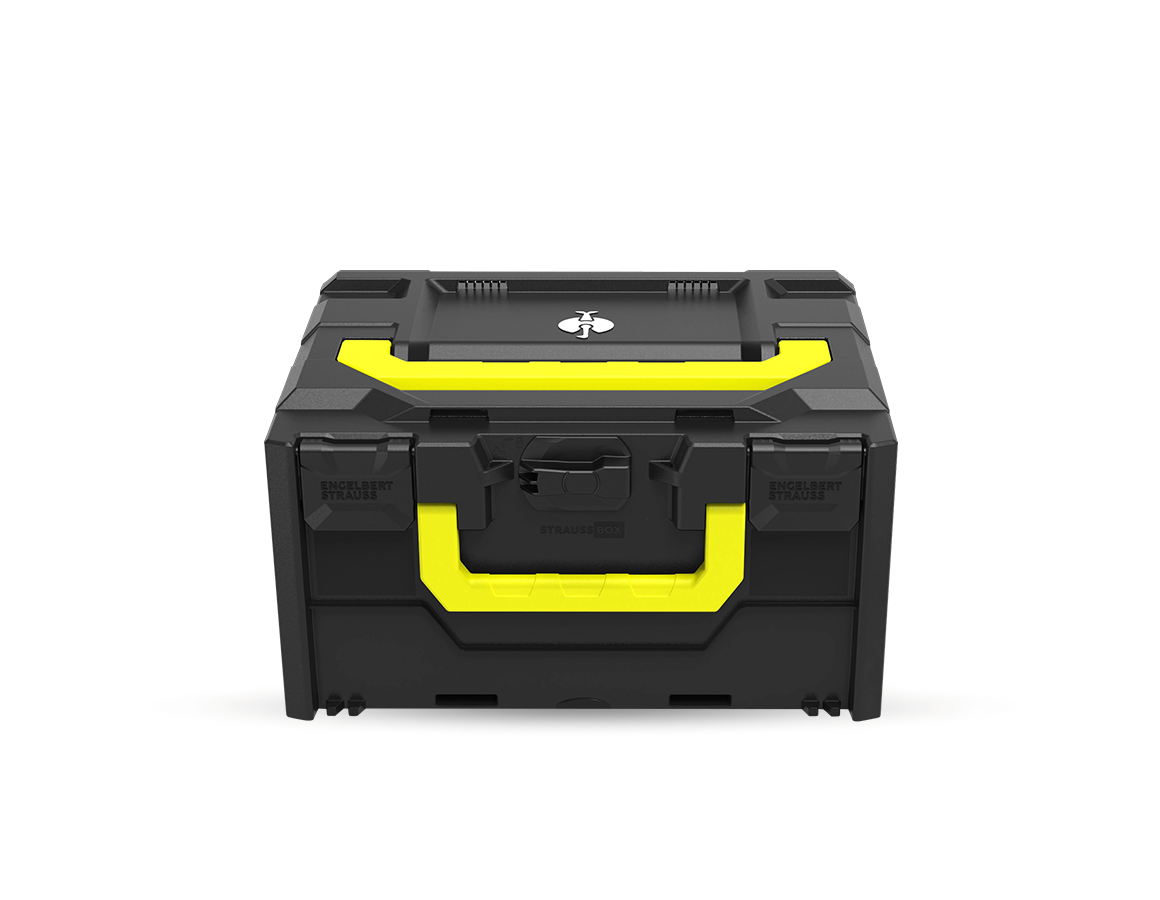 STRAUSSbox System: STRAUSSbox 215 midi Color + schwarz