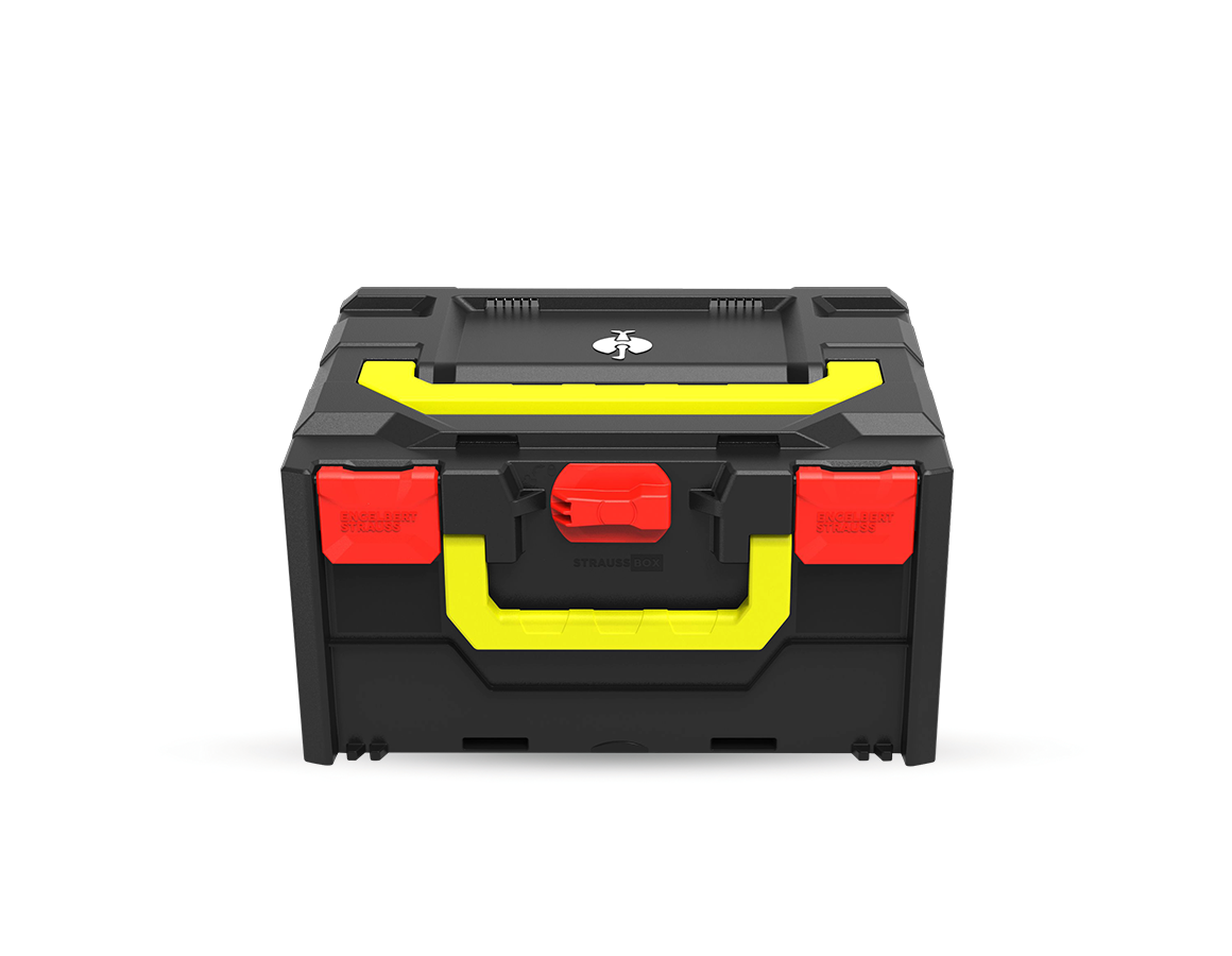 STRAUSSbox System: STRAUSSbox 215 midi Color + feuerrot