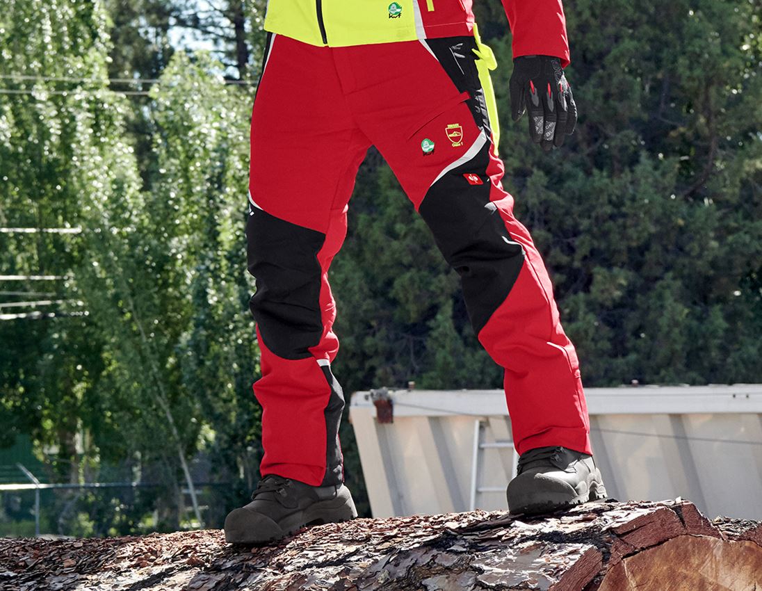 Bekleidung: SET: e.s. Forst-Schnittschutz Bundhose KWF + Helm + rot/warngelb
