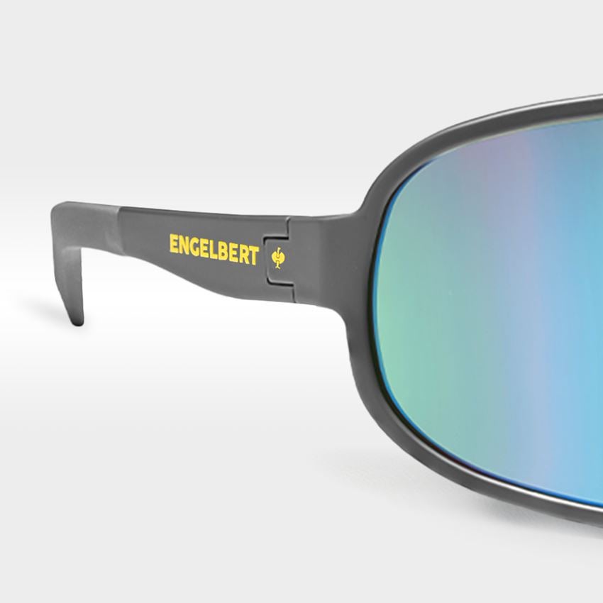 Schutzbrillen: Race Sonnenbrille e.s.ambition + anthrazit 2