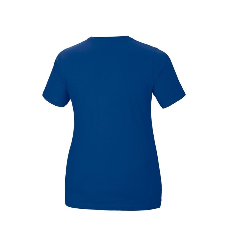 Themen: e.s. T-Shirt cotton stretch, Damen, plus fit + kornblau 3
