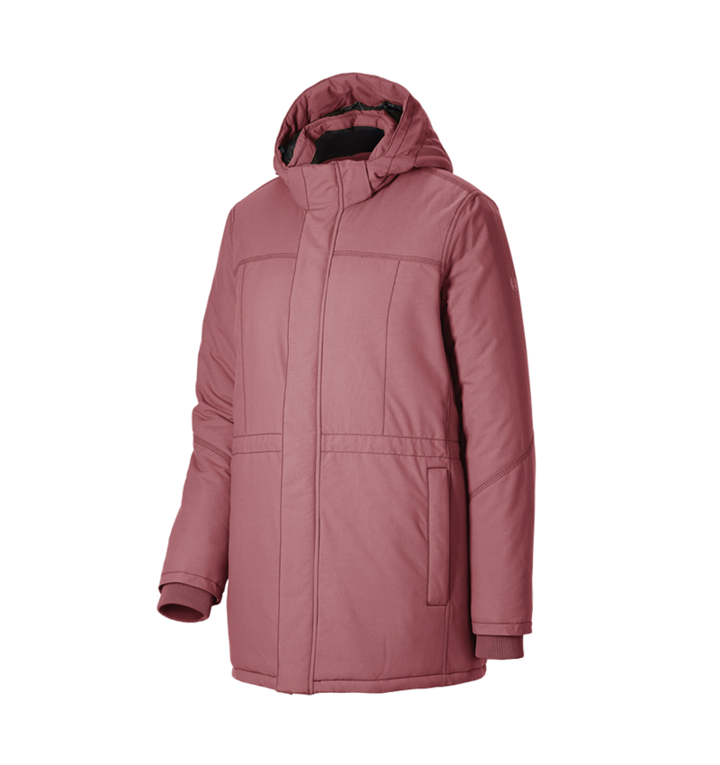 Themen: Parka e.s.iconic, Damen + oxidrot 7