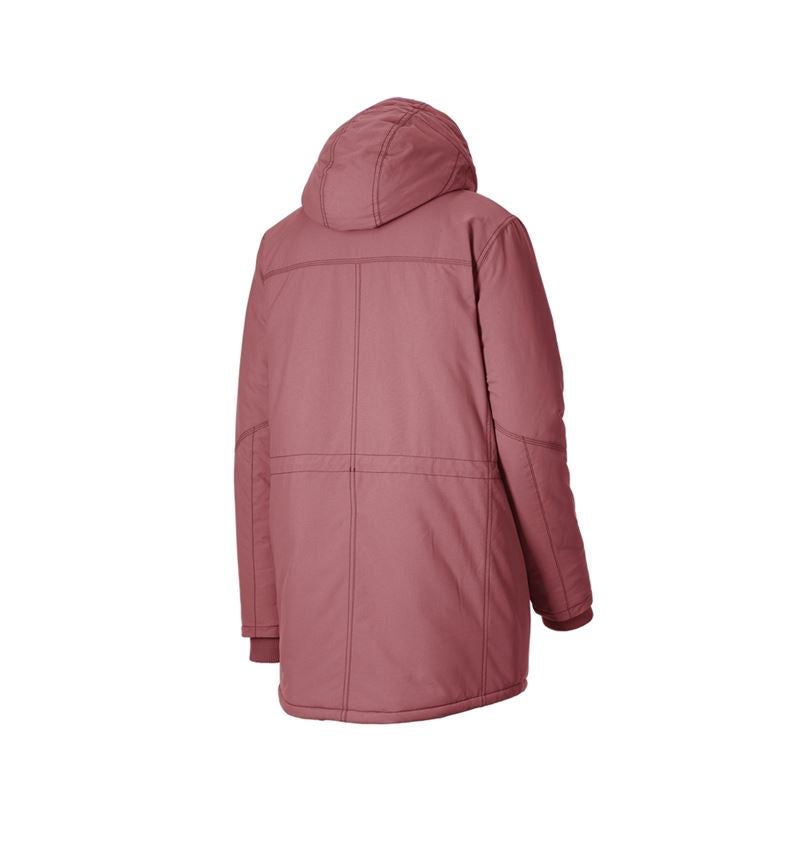 Themen: Parka e.s.iconic, Damen + oxidrot 8