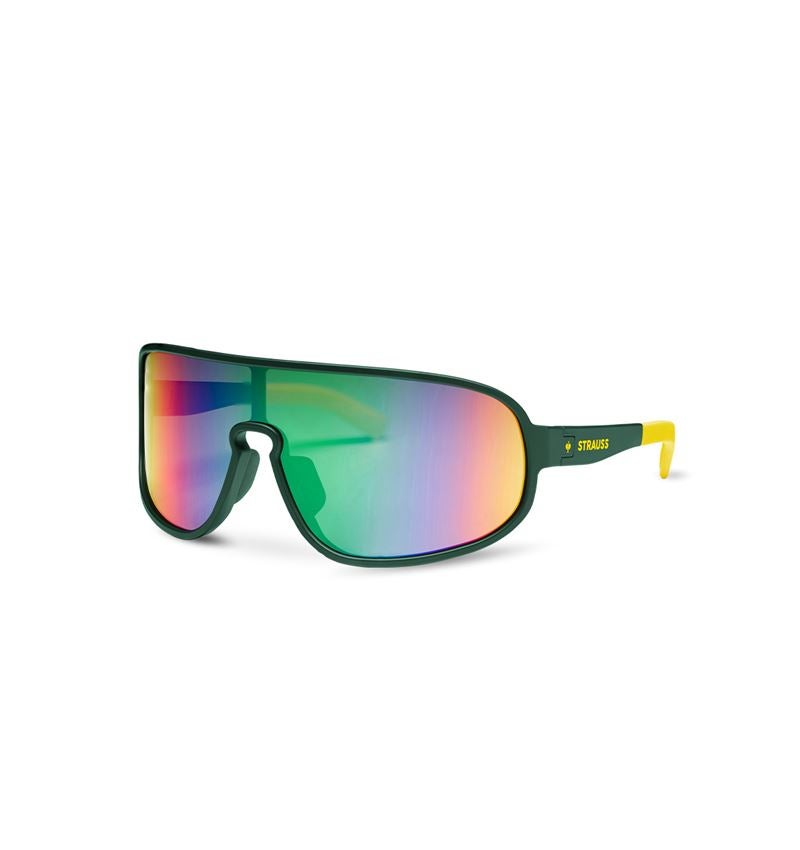 Schutzbrillen: Race Sonnenbrille e.s.ambition + grün