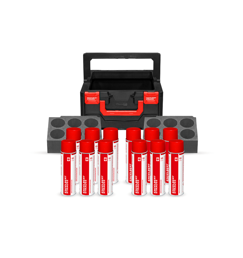 Werkzeuge: STRAUSSbox 215 midi tool carrier Set I