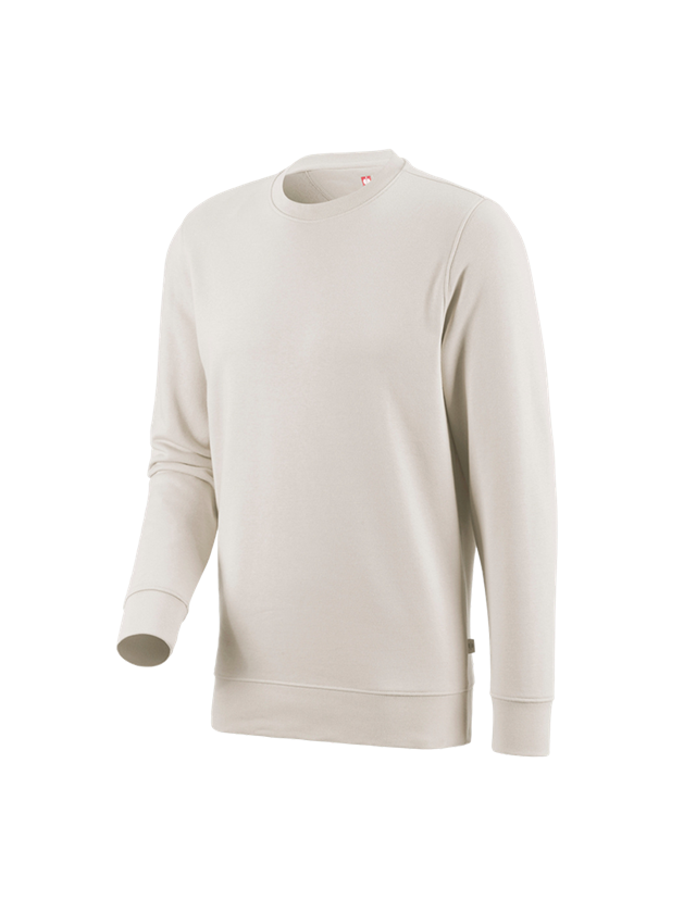 Shirts & Co.: e.s. Sweatshirt poly cotton + gips 2