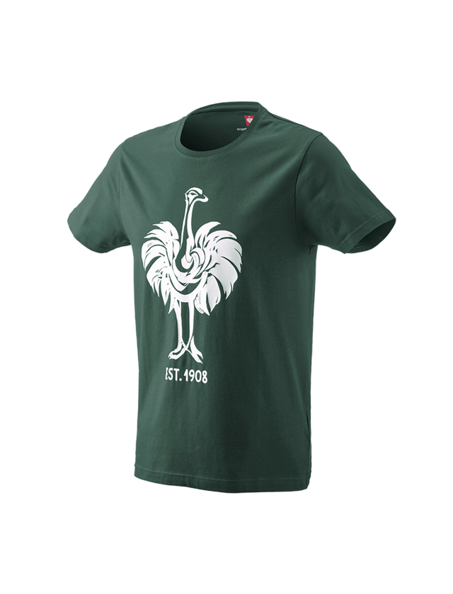 Shirts & Co.: e.s. T-Shirt 1908 + grün/weiß